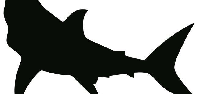 shark silhouette