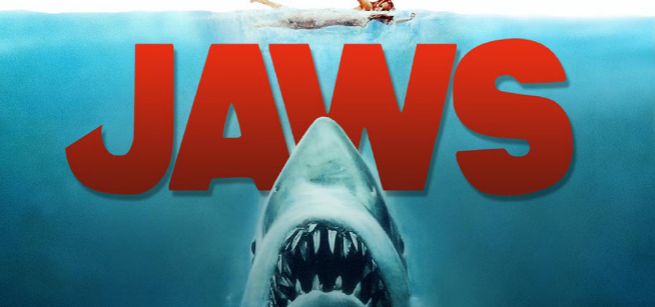 Shark in water and lady swimming above
