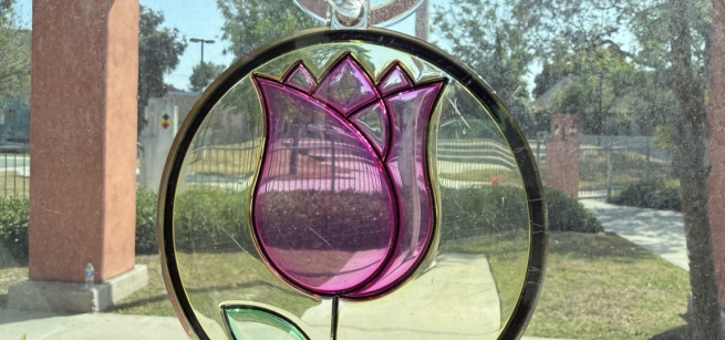 glass, flower, window