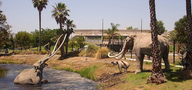 la brea tar pits