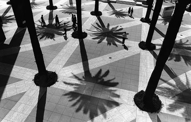 Palm trees in the Citibank plaza courtyard at 5th. and Flower Streets. March 21, 2000.