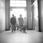 The school cat named Room 8 walks with a group of students through the entrance of Elysian Heights Elementary School in Echo Park.