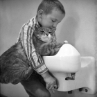 A student tries to give the school cat named Room 8 a drink of water from the drinking fountain at Elysian Heights Elementary School in Echo Park.