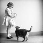 The school cat named Room 8 watches a student holding her lunchbox at Elysian Heights Elementary School in Echo Park.