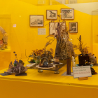 Display case representing the 29 Palms Historical Society's Annual Weed Show.