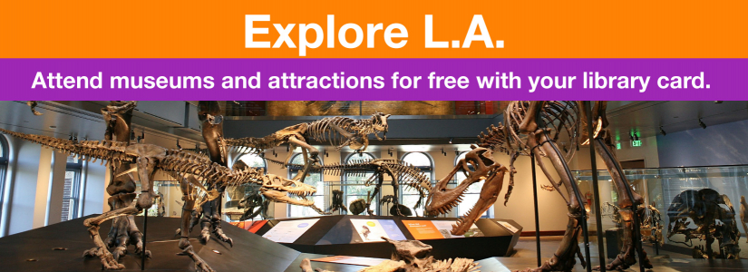 photo of the natural history museum