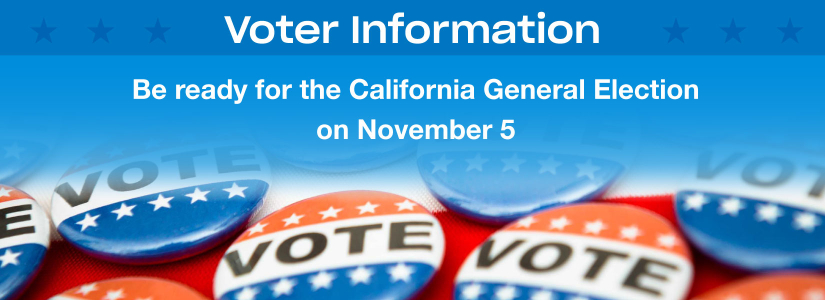 Voter Information with "vote" buttons