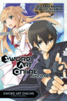 Sword art online : aincrad