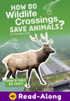 How Do Wildlife Crossings Save Animals?