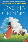 One big open sky