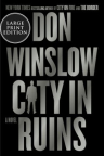 City in ruins : a novel