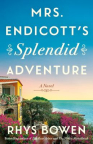 Mrs. Endicott's splendid adventure : a novel