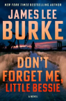 Don't forget me, little Bessie : a novel 