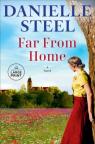 Far from home : a novel 