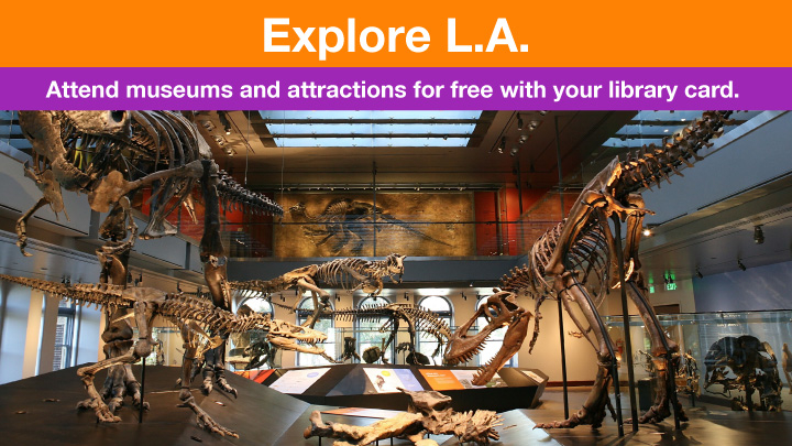 photo from the natural history museum dinosaur exhibit