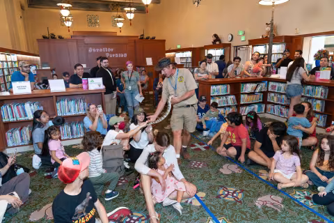 Reptile handler shows snake to children sitting on floor
