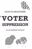 How to Recognize Voter Suppression in its Habitat Naturel 
