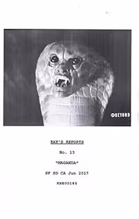 Ray's Reports. Anonymous. No. 13, "Maganda"