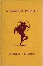 A Bronco Pegasus 