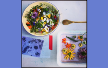 a bowl and container full of flower petals, a wooden spoon, and a phytogram.