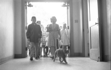 black and white photo of elementary school students entering school doors with cat