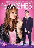 Book cover for 16 Wishes 