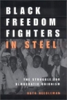 Book cover for Black freedom fighters in steel : the struggle for democratic unionism