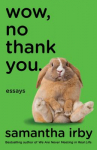 Book cover for Wow, no thank you : essays 