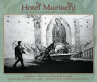 Book cover for Hotel Mariachi: Urban Space and Cultural Heritage in Los Angeles 