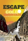 Book cover for Escape to gold mountain : a graphic history of the Chinese in North America