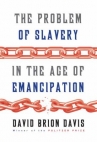 Book cover for The problem of slavery in the age of emancipation