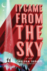 Book cover for It Came From the Sky