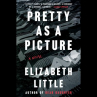 Book cover for Pretty as a Picture 