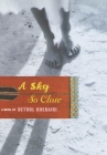 Book cover for A sky so close
