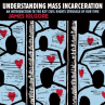 Book cover for Understanding Mass Incarceration: A People's Guide to the Key Civil Rights Struggle of Our Time