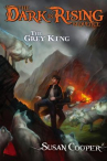 Book cover for The Grey King