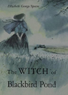 Book cover for The Witch of Blackbird Pond