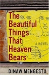 Book cover for The beautiful things that heaven bears