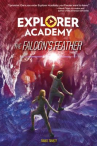 Book cover for The Falcon's Feather