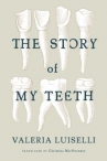 Book cover for The story of my teeth