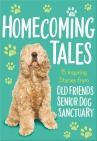 Book cover for Homecoming Tales