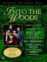 Book cover for Into the Woods
