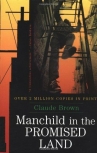 Book cover for Manchild in the Promised Land