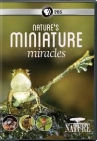 Book cover for Nature’s Miniature Miracles