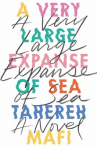 Book cover for A very large expanse of sea 