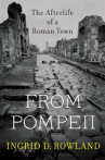 Book cover for From Pompeii: The Afterlife of a Roman Town