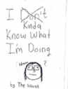 Book cover for I Kinda Know What I'm Doing