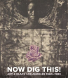 Book cover for Now Dig This!: Art & Black Los Angeles, 1960-1980