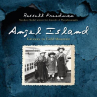 Book cover for Angel Island