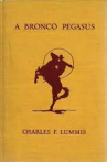 Book cover for A Bronco Pegasus 